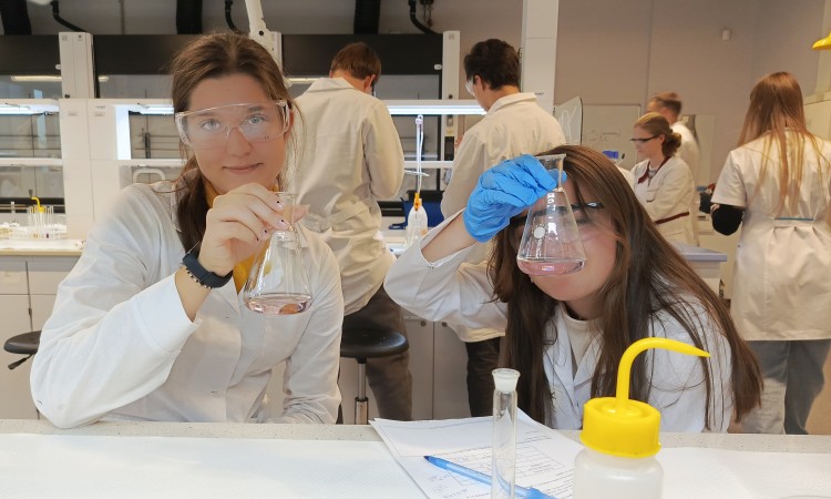 Barwy jesieni... w chemii!