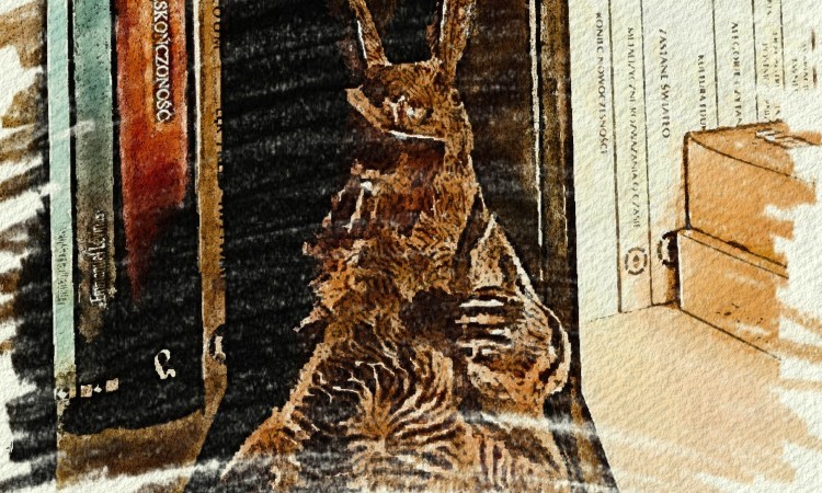 Polonistka-Finalistka