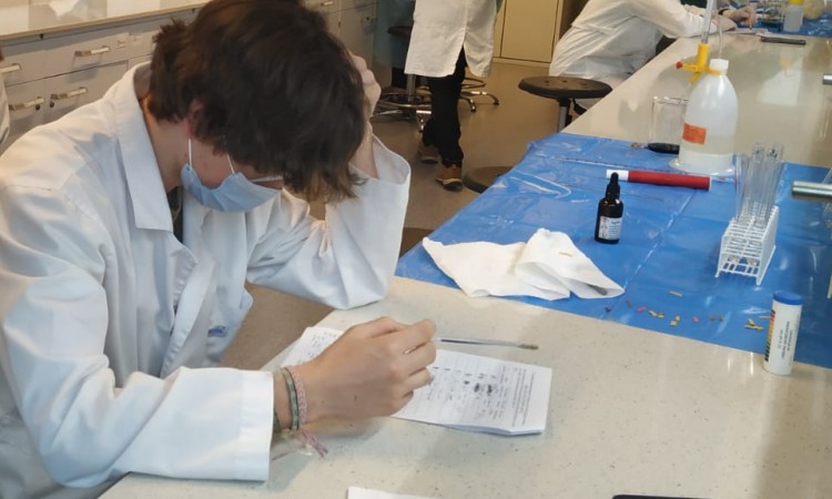 Eksperymenty 3d na Wydziale Chemii